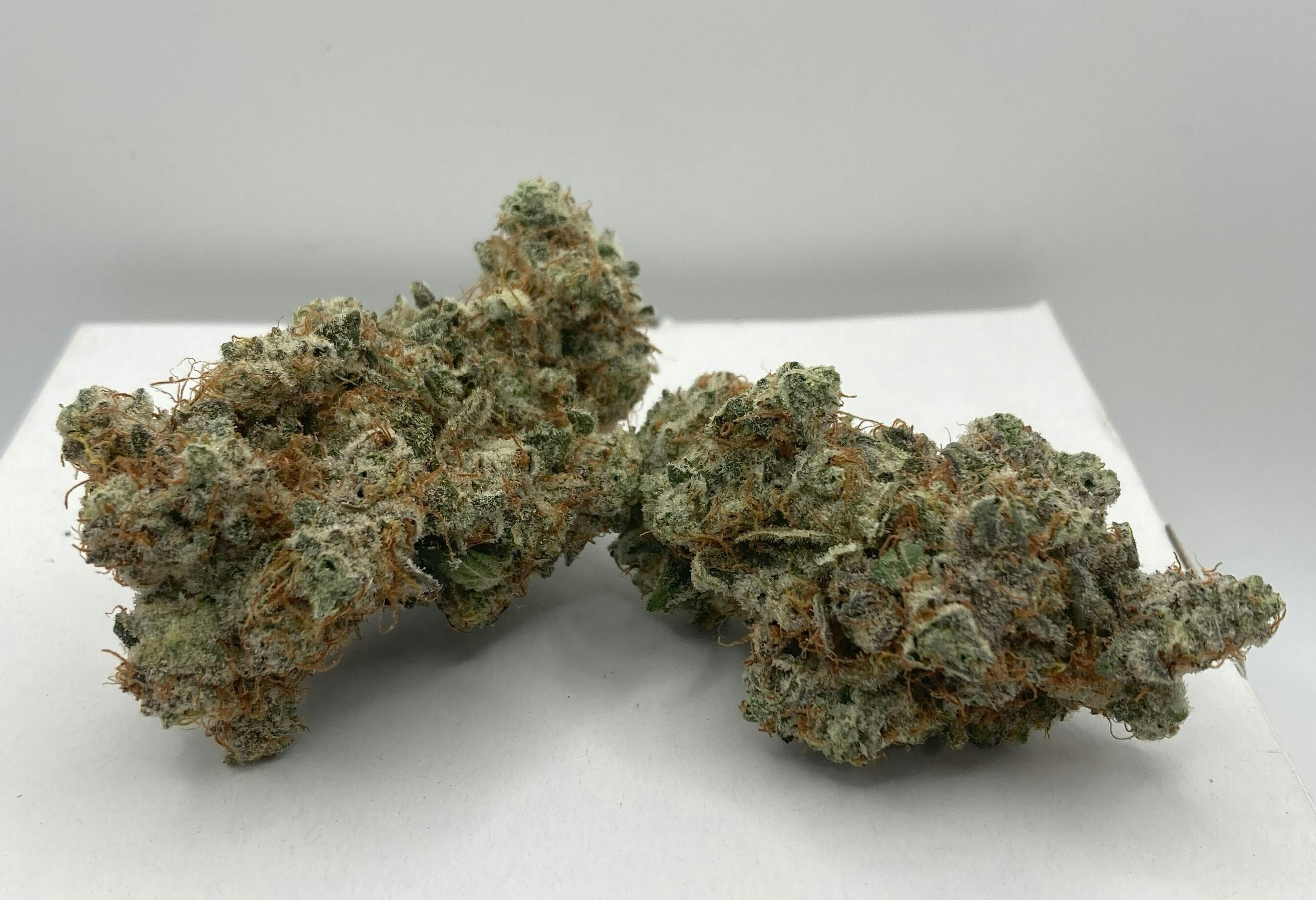 Craft - Craft Blue Runts Flower (BIG)