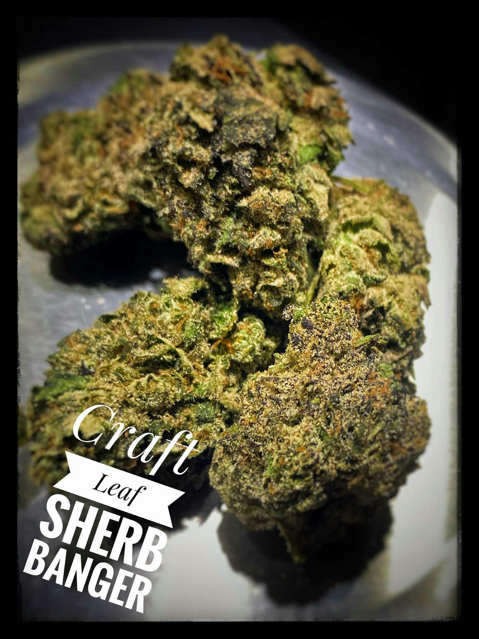Craft - Sherb Banger Best Bulk Flower (IH)
