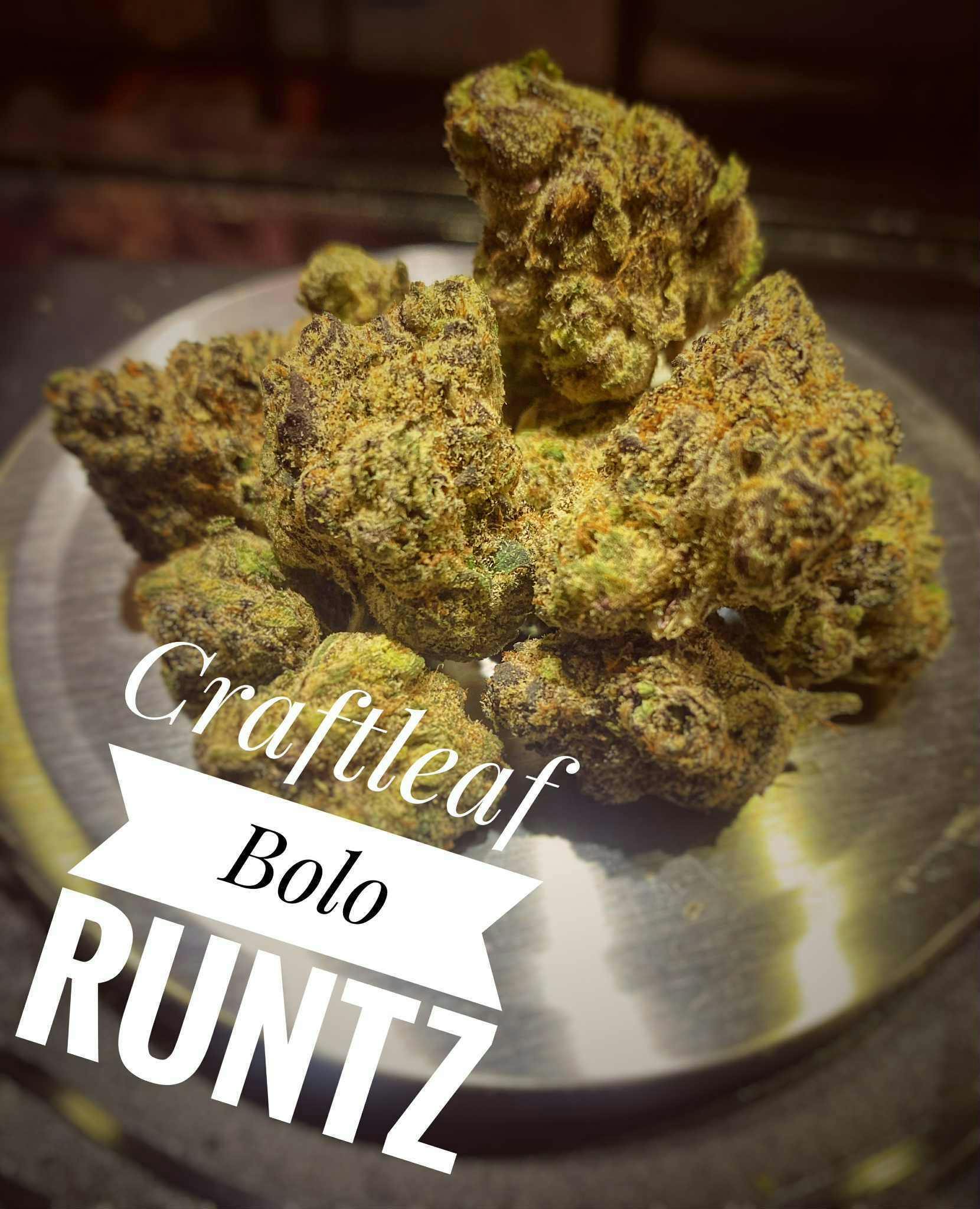 Craft - Bolo Runts Best Bulk Flower (H)