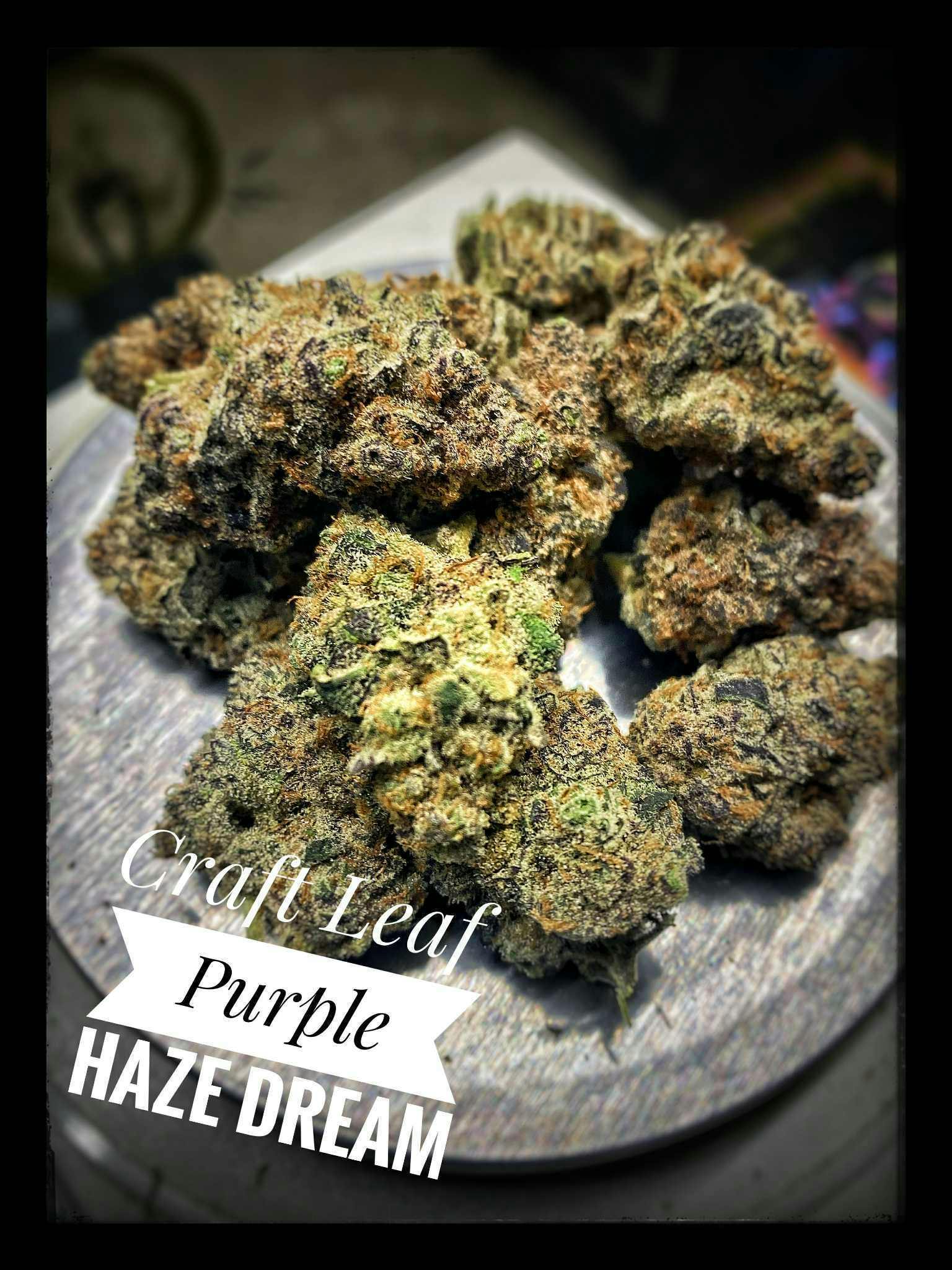 Craft - Purple Haze Dream Best Bulk Flower (IH)