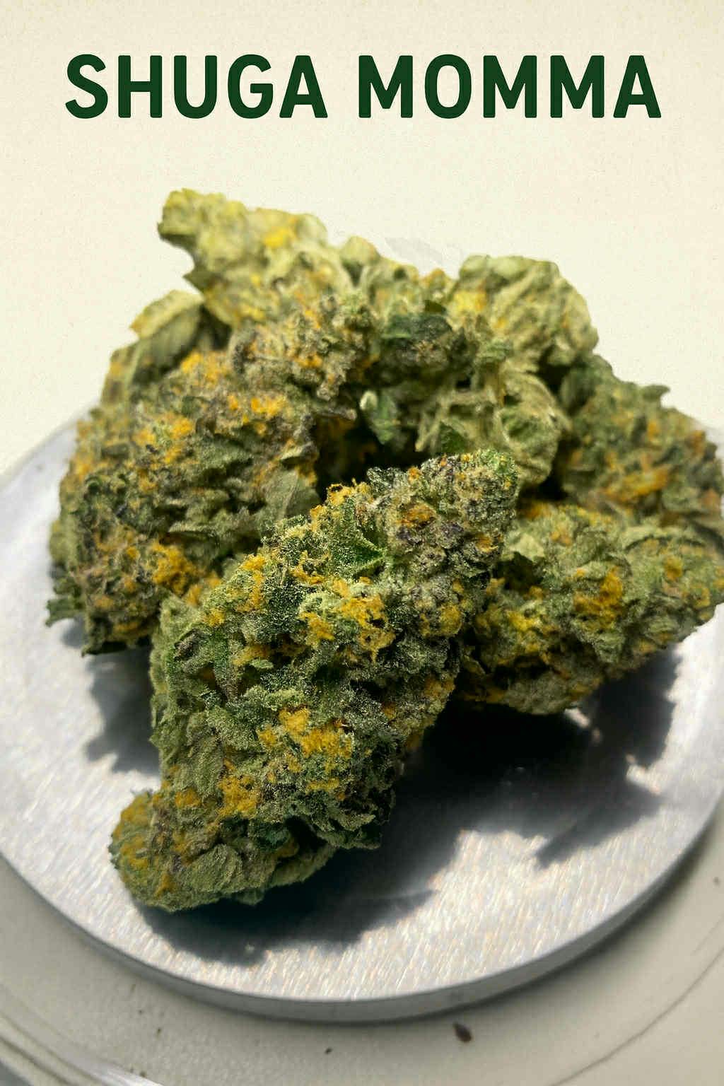 MoTown - Shuga Momma Better Bulk Flower (IH)