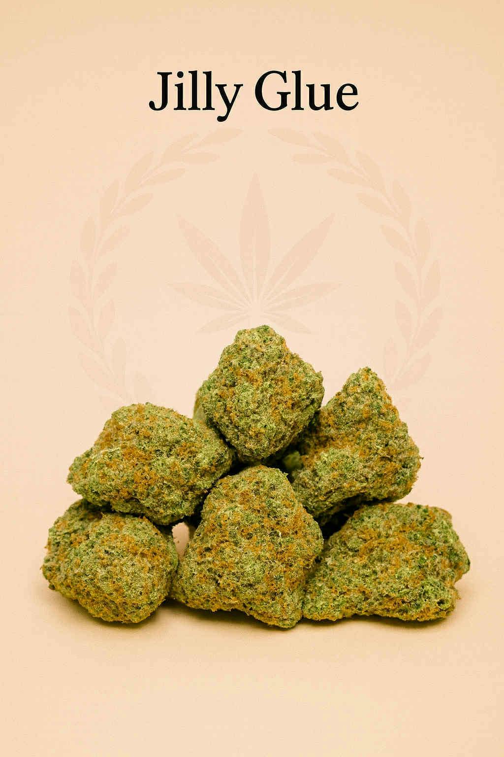 FranklinFields - Jilly Glue Good Bulk Flower (H)
