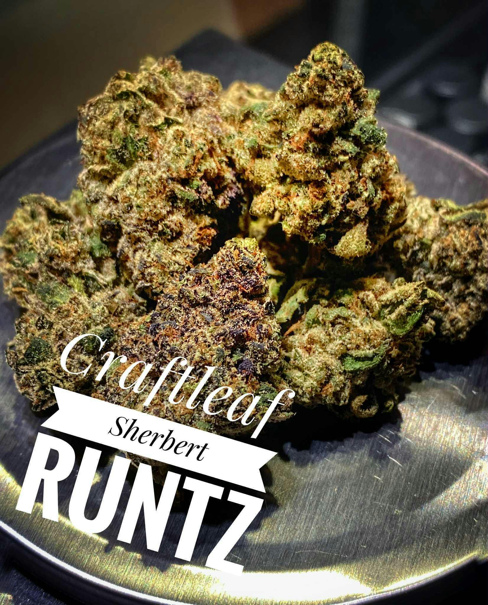 Craft - Sherb Runtz Best Bulk Flower (H)