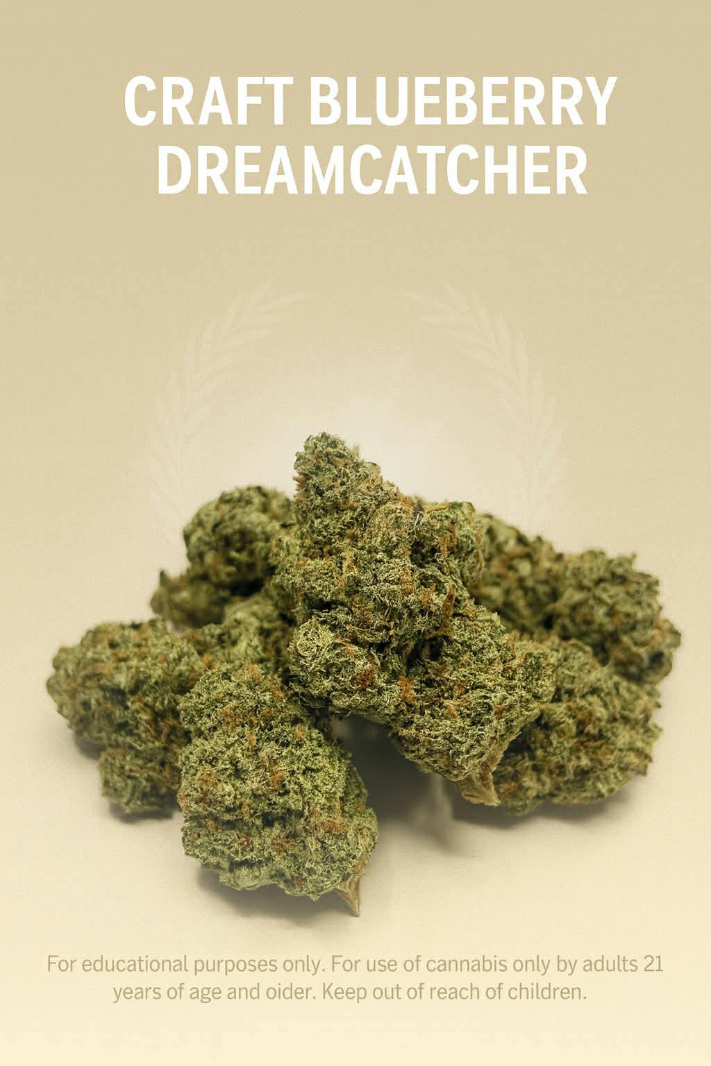 Blueberry Dreamcatcher Best Bulk Flower (H)