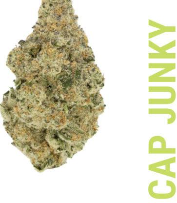 HH - Cap Junky Better Flower (H)