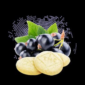 Sour Black Currant - C-Bite - 100mg - 10ct