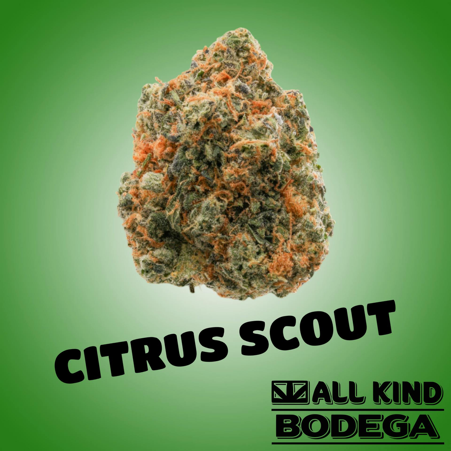 Citrus Scout Jarcannabis20