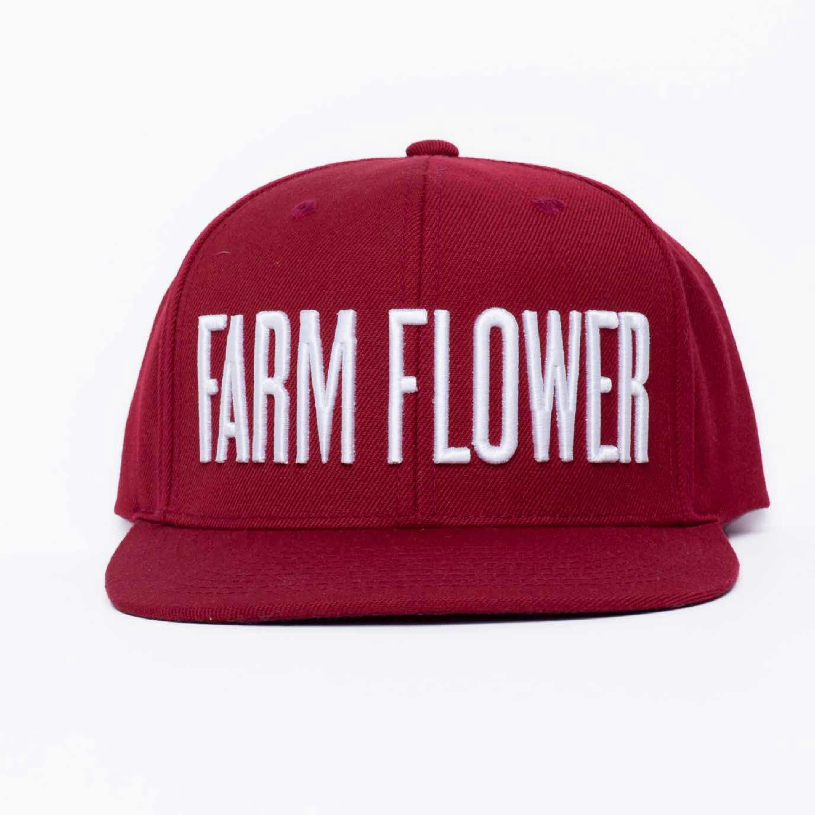Snapback Red/white Letters