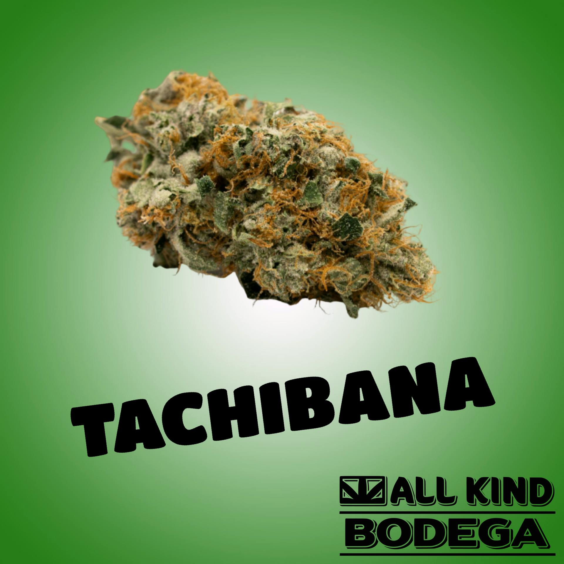 Tachibana 3.5g Flower (@flamingomaine)