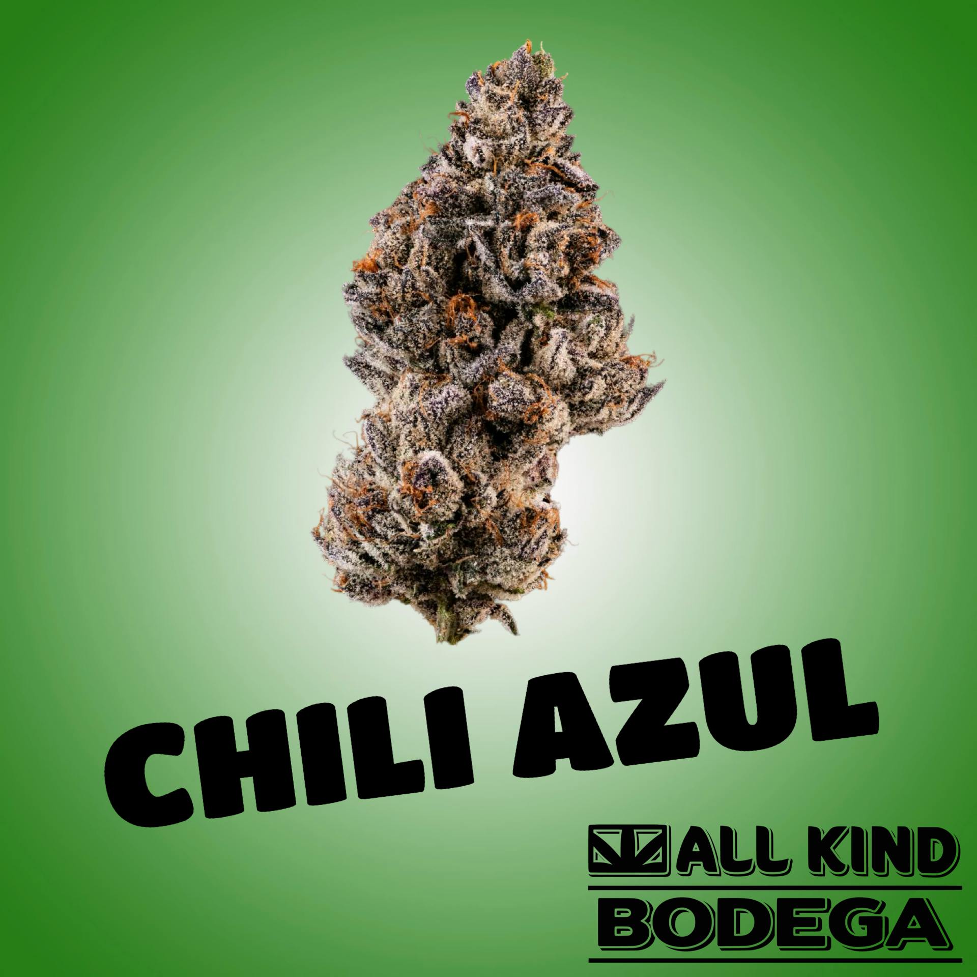 Chile Azul Wildfire Labs