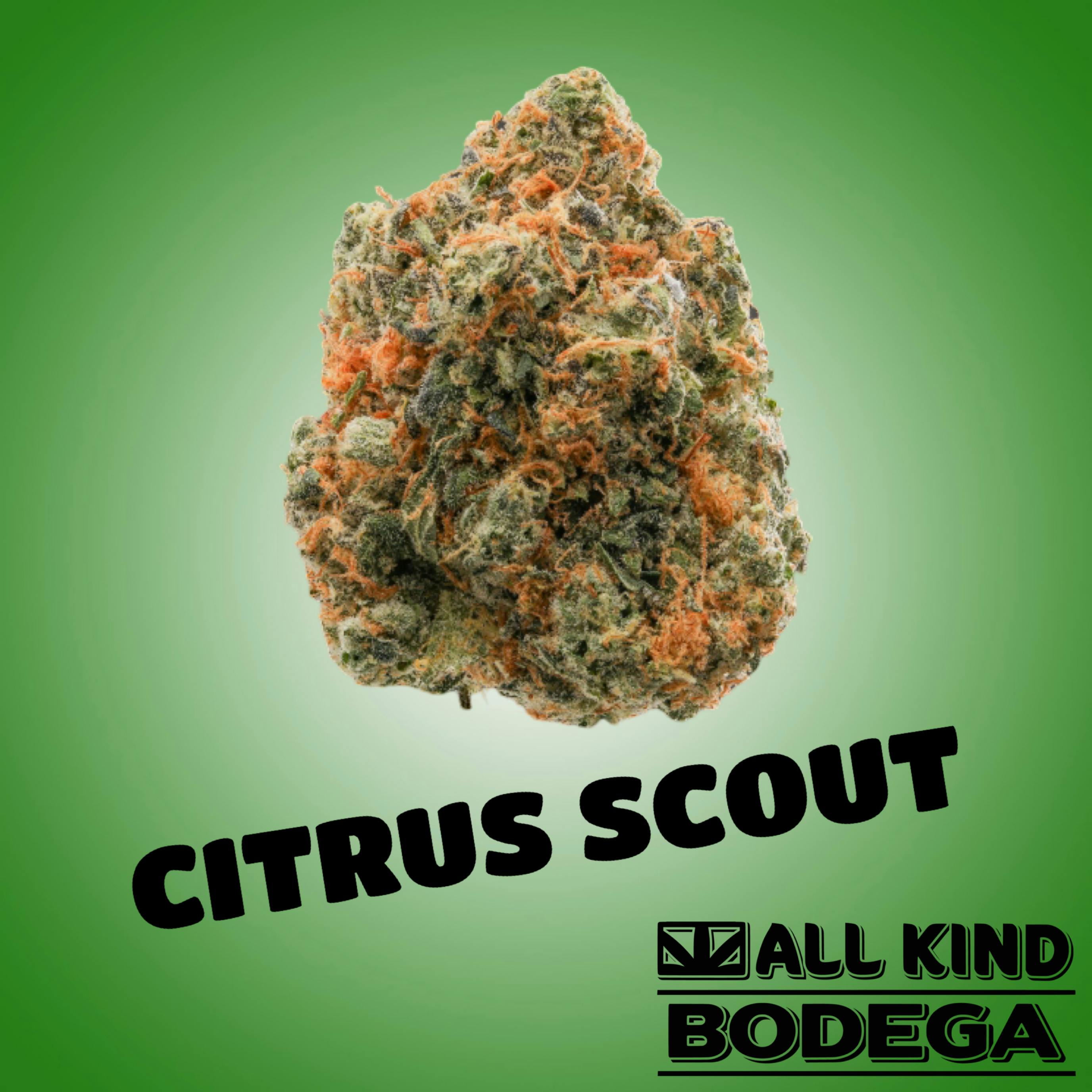 Citrus Scout Jarcannabis20