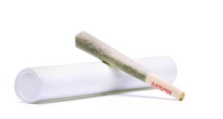 Platinum Gelatti ~ Sativa Hybrid ~ Pre-Roll [0.5g] at Island Time