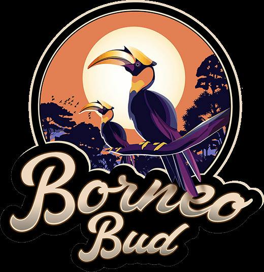 Borneo Bud | 1g | Mega Wellness OG | 2pk at DABBS Cannabis Dispensary