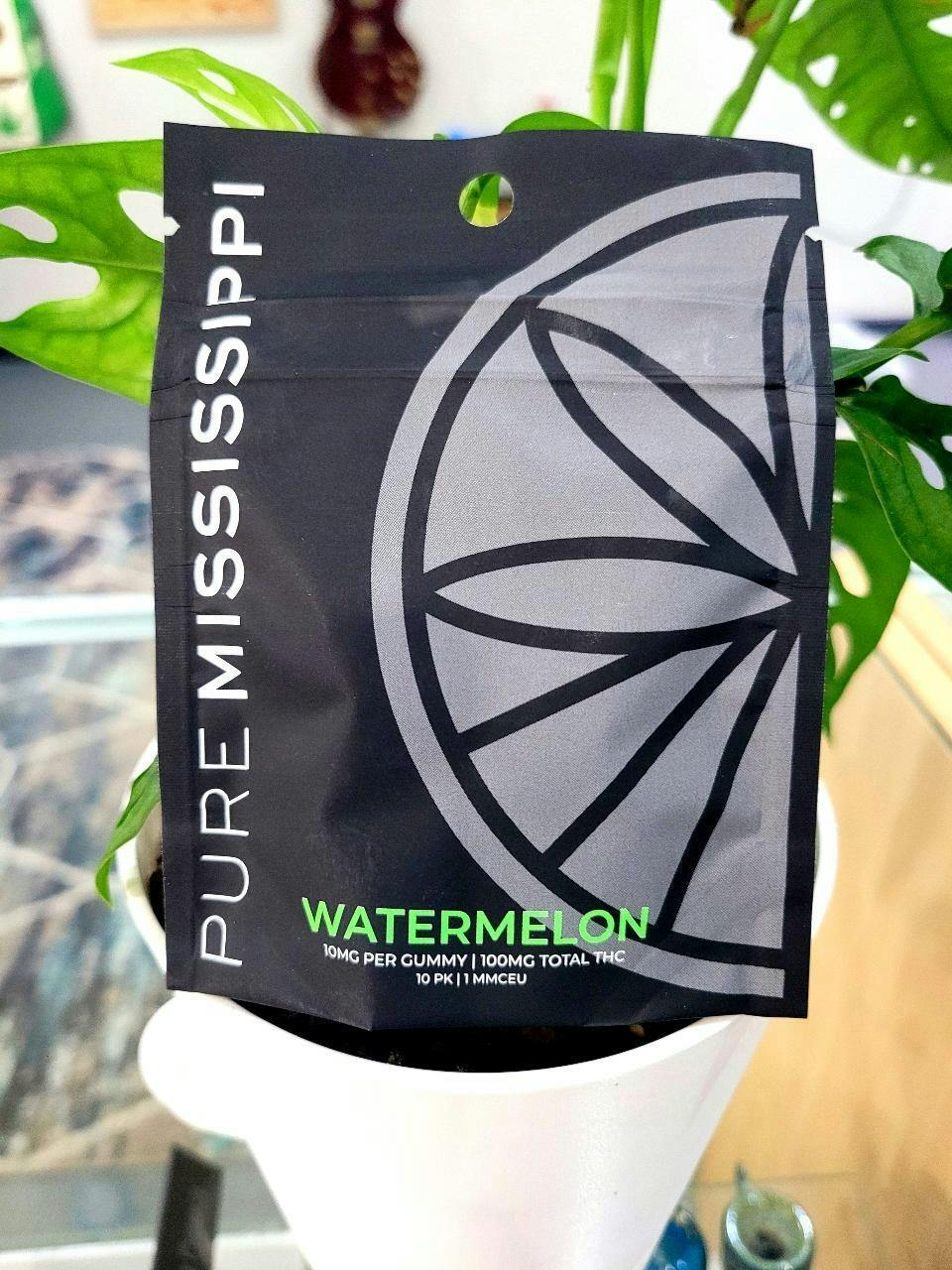 Pure MS | 100mg | Watermelon
