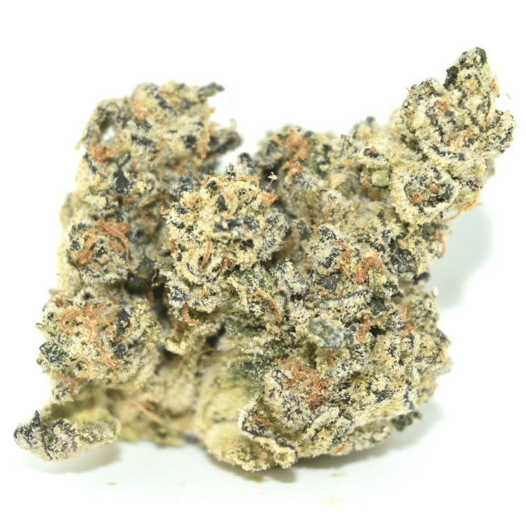 Flower Factory - Pop Rocks - Eight