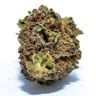 Higher Weed Delivery - Secret Sauce - Half Ounce