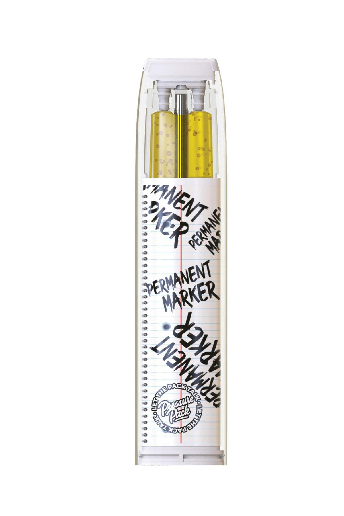 Permanent Marker Disposable