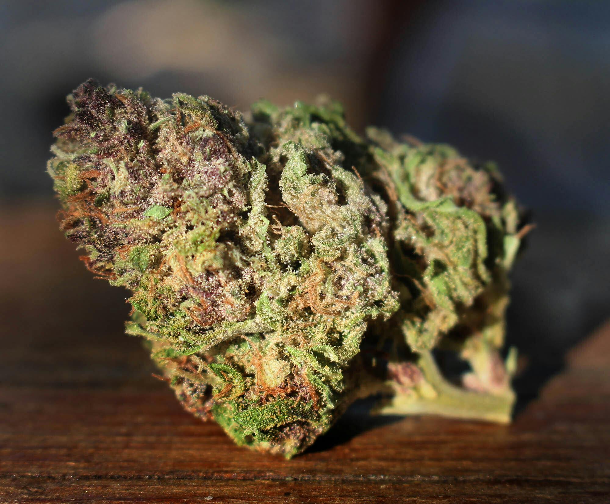 MOON GAZER FARMS — Papaya Valley Goo