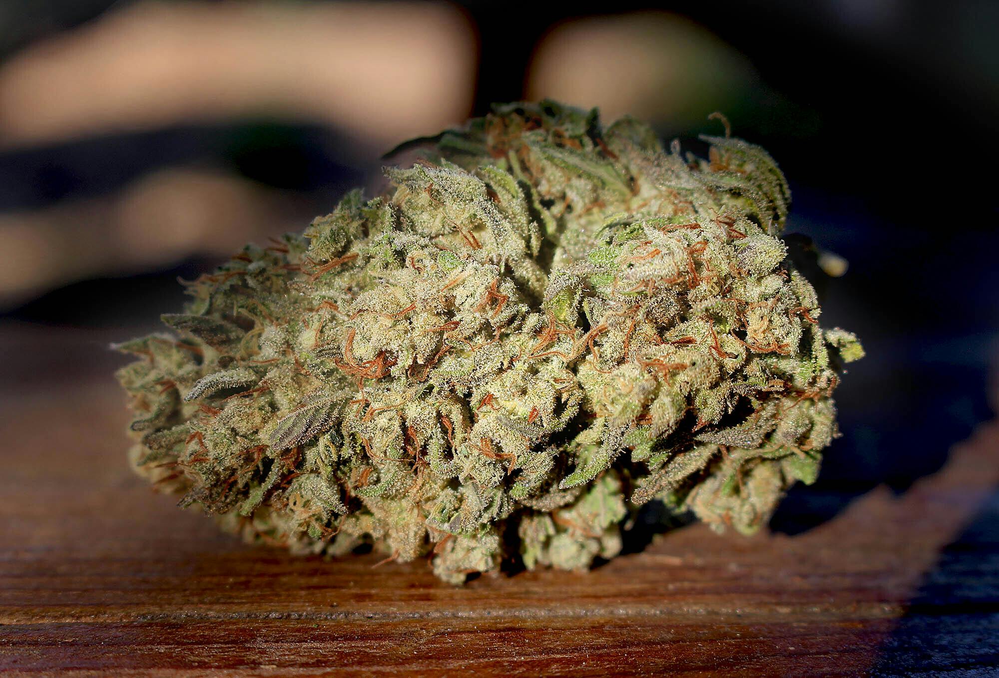 MOON GAZER FARMS — Magik Moonbeam