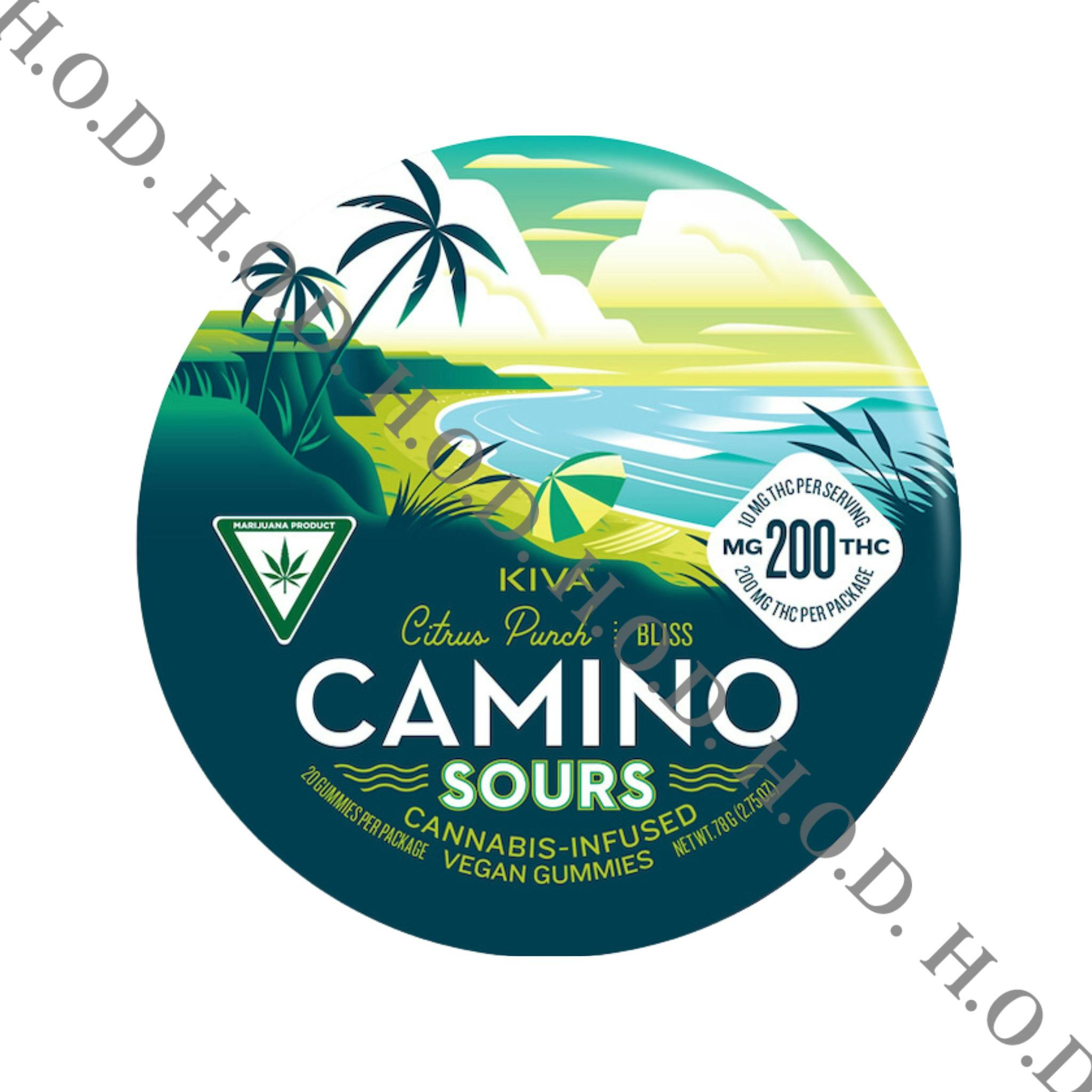 Camino Sour Citrus Punch Gummies