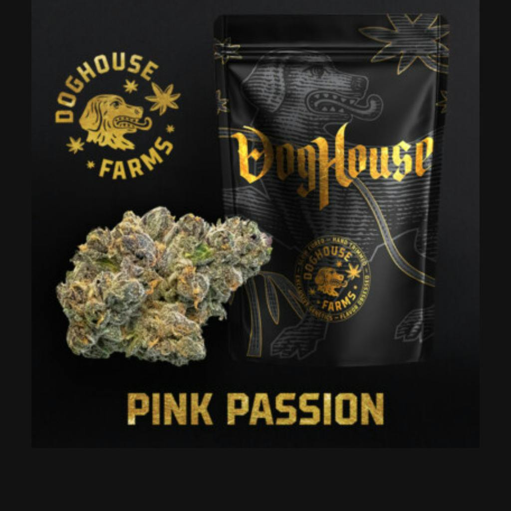 Doghouse Pink Passion