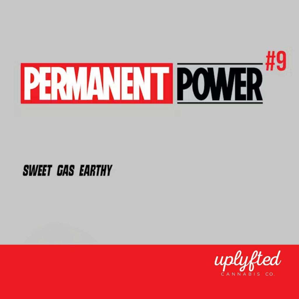 Uplyfted Permanent Power #9