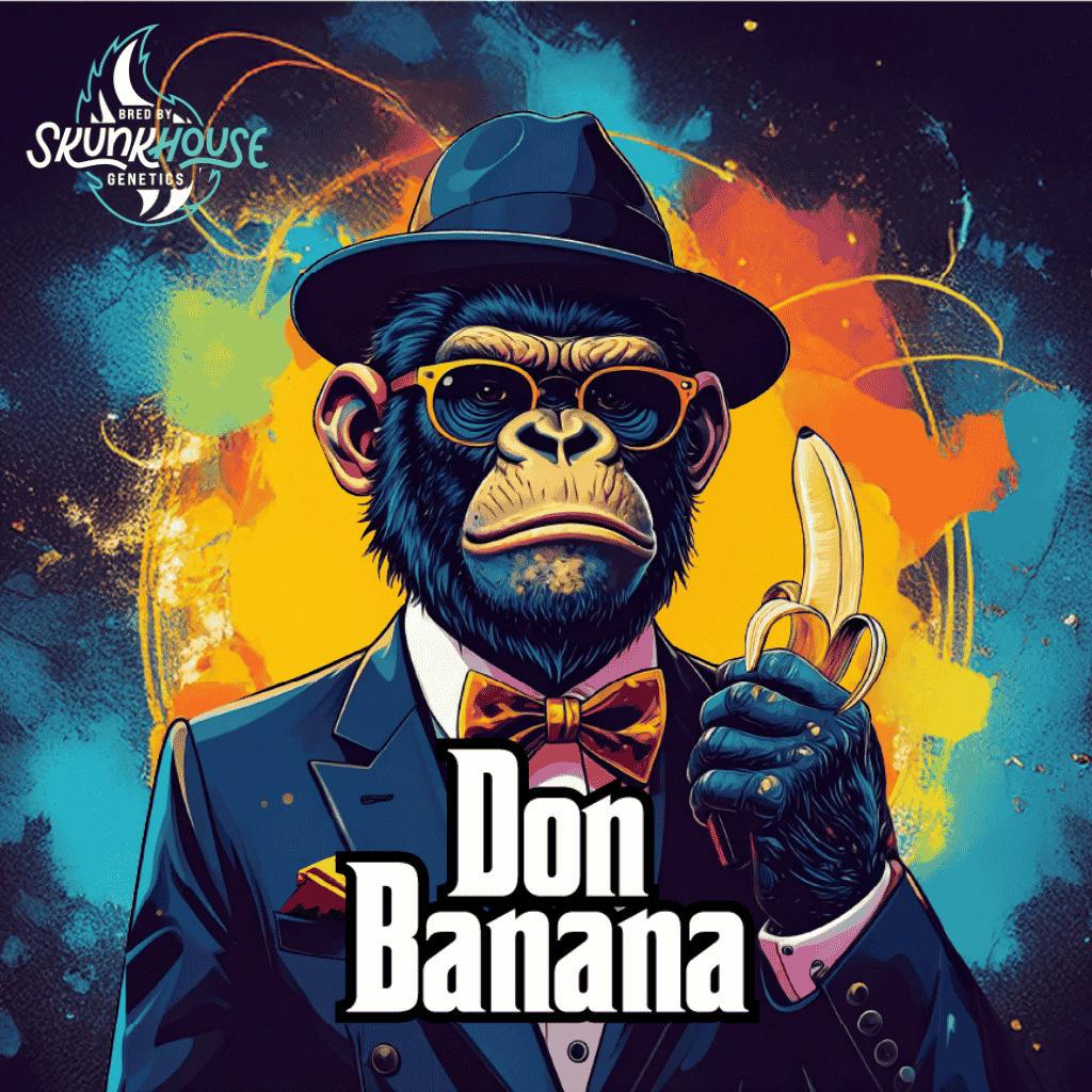 Skunkhouse Don Banana