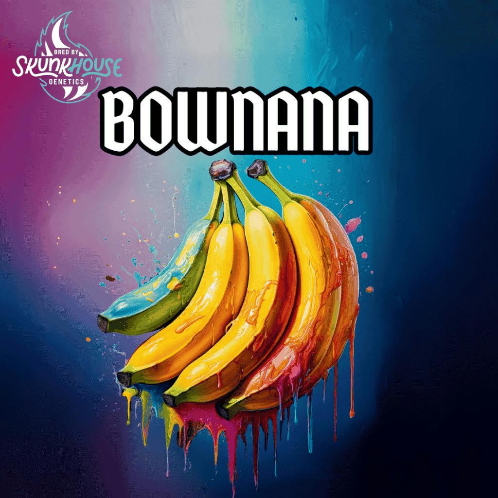 Skunkhouse Bownana