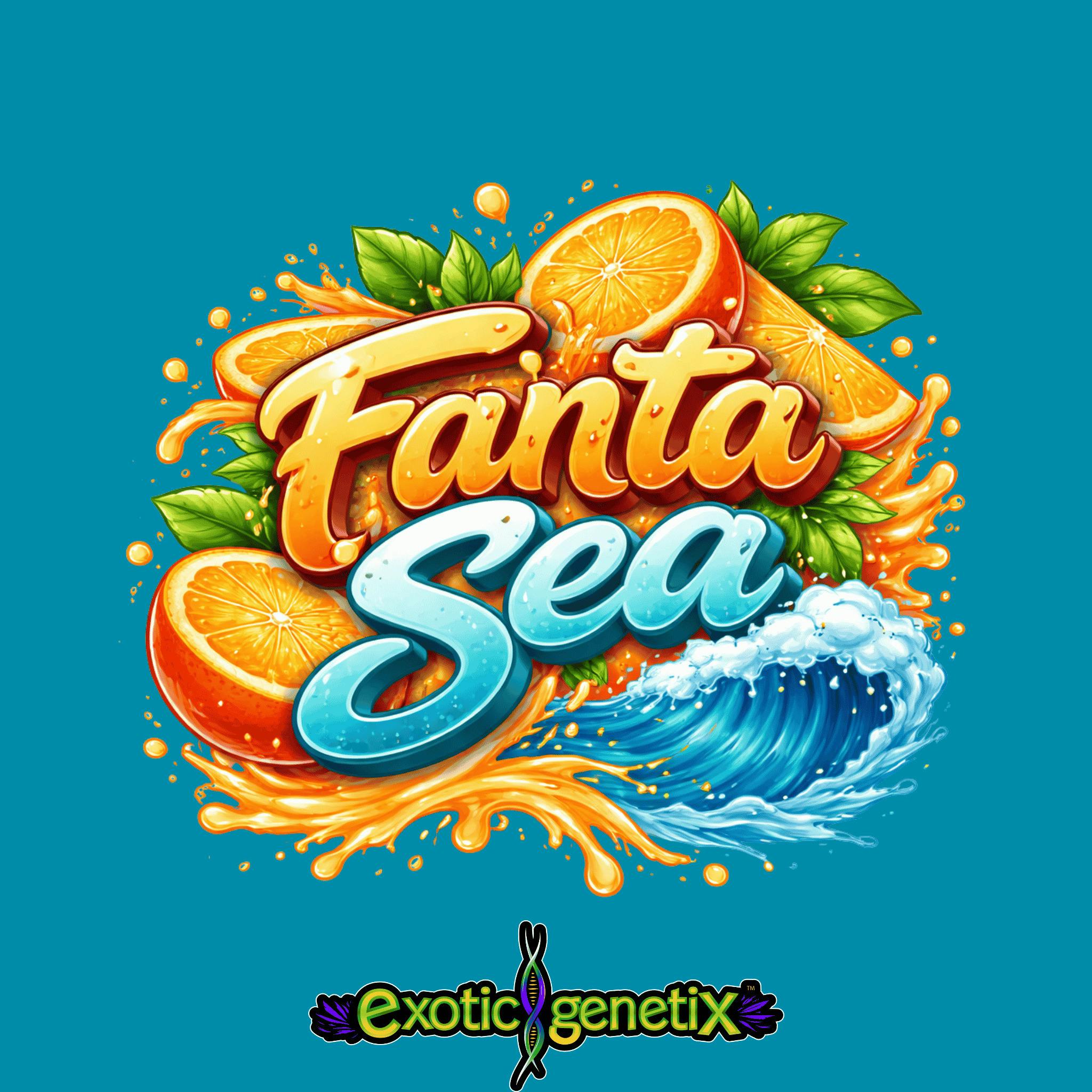 Exotic Genetix Fanta Sea