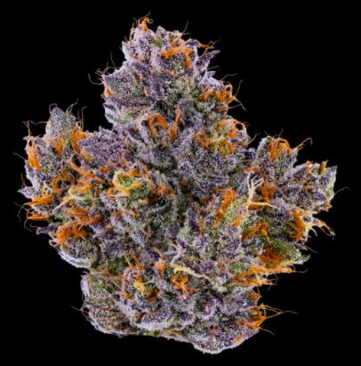 Fig Farms - Rapper Weed | 3.5g - 1 gram