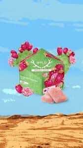 WYLD - Prickly Pear Gummies | 10pk