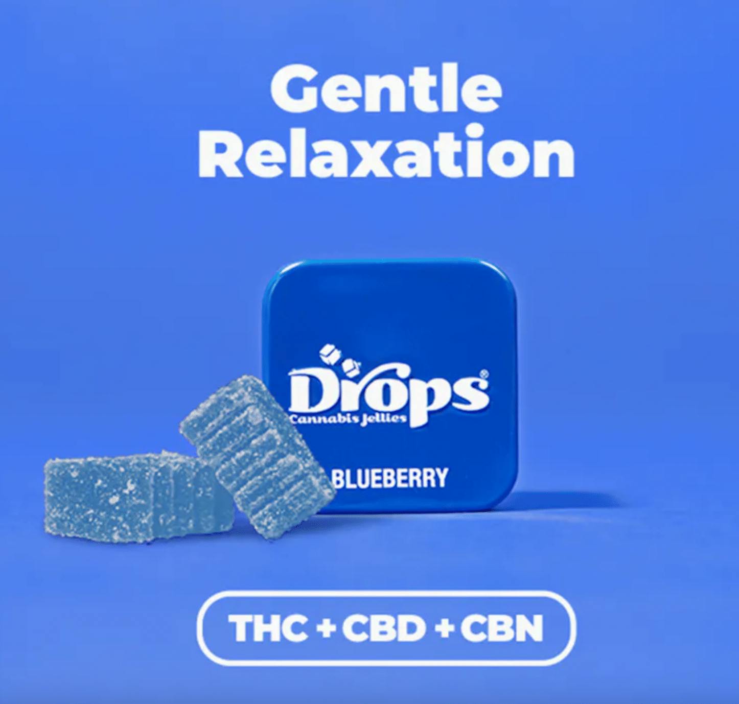 Drops - Blueberry | Gentle | THC:CBN:CBD | 2pc at Abide Napa Dispensary