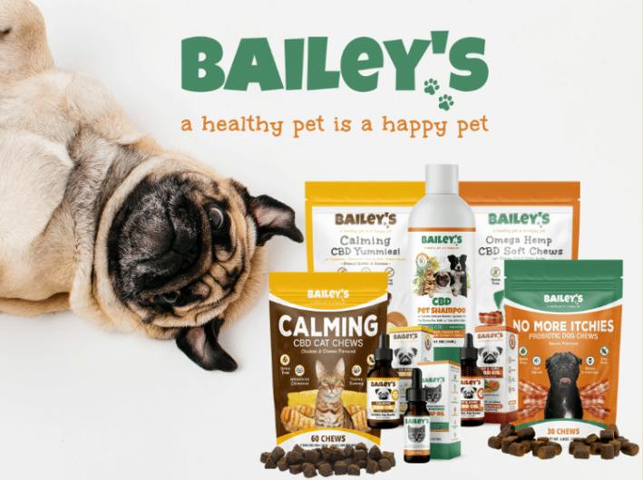 Bailey's - Dog CBD Tincture | 600mg
