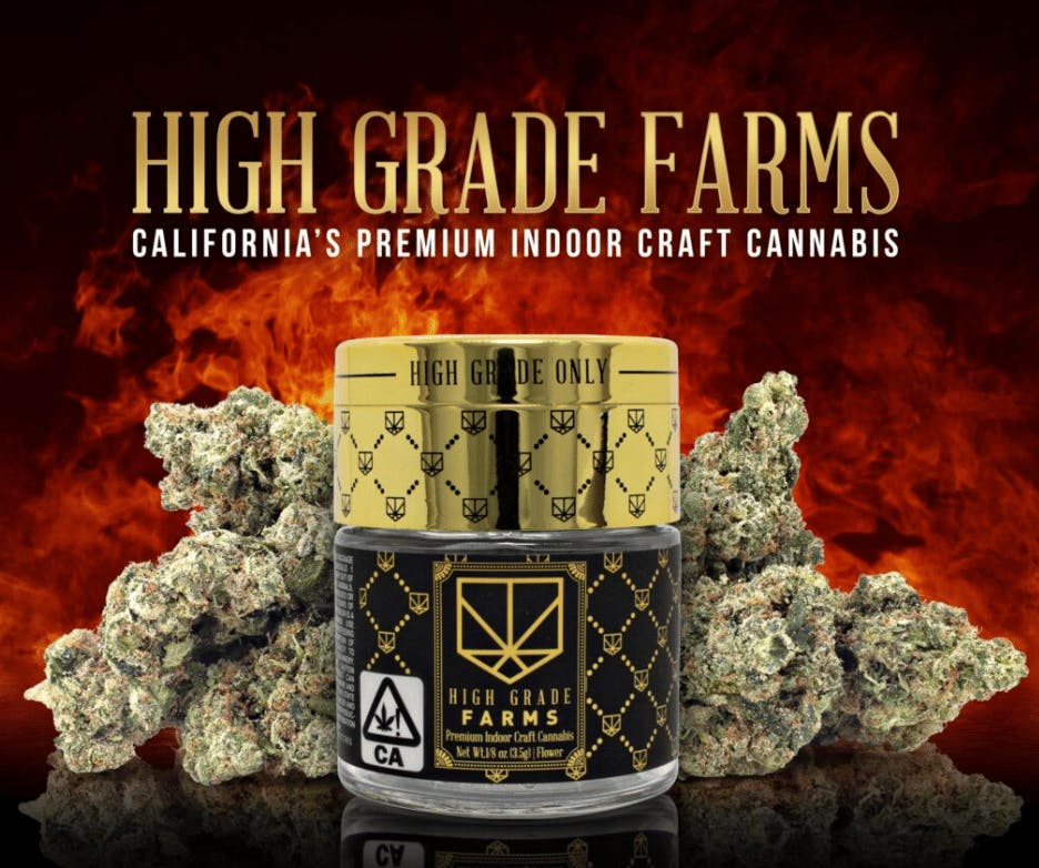 High Grade Farms - Double Solo Burger: 1 gram