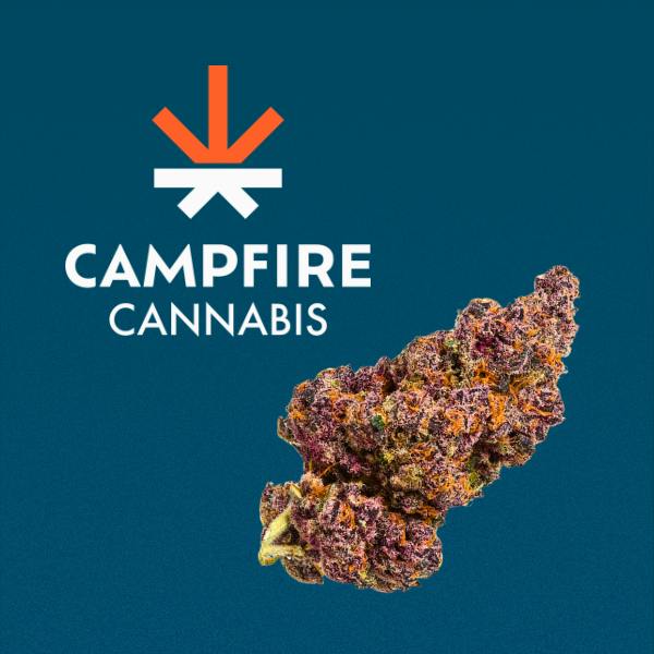 Tropicana Cherry - 4g - Campfire Cannabis at MN THC Co - Dundas