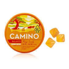 CAMINO: Mango Serenity $18