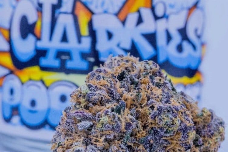 Clarkies — LA Pop Rocks $50