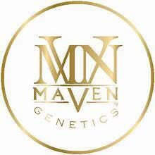 Maven — Dirty Laundry $40
