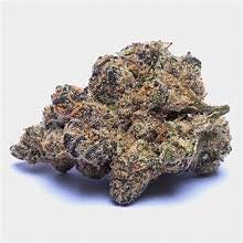 Cali High — Zookie Doodle $70