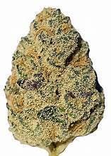 Cali High — Pink Pound Cake $70