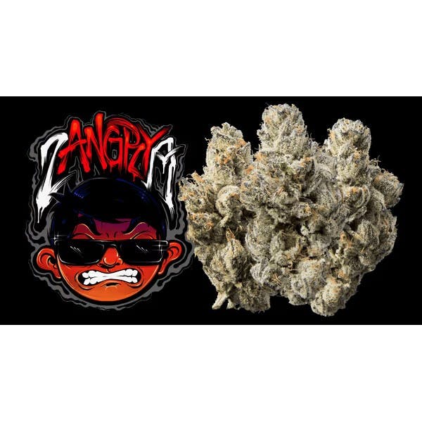 LING: Nuggets Zangrya $140