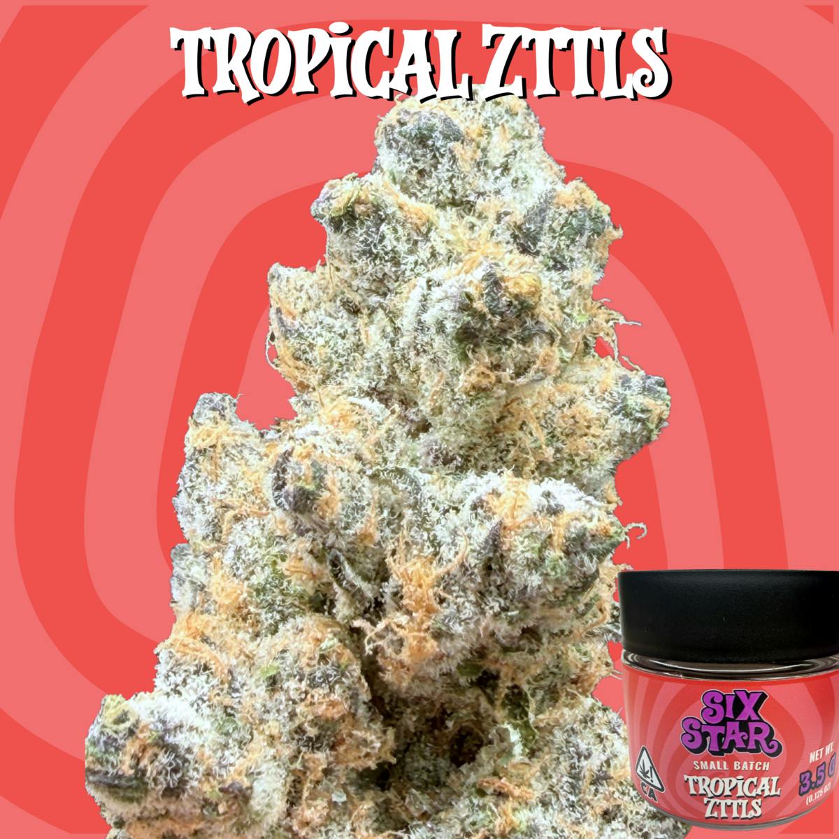 Six Star: Bigs Tropical Zttls $30