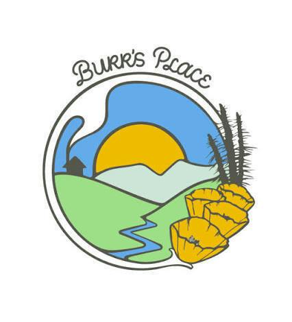 Burr Place 7g shake Mountain Mint