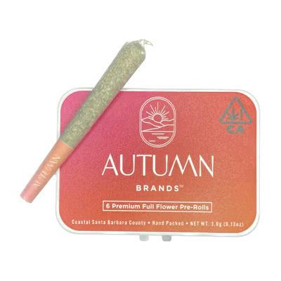 G-Runtz [H] - Prerolls 6PK