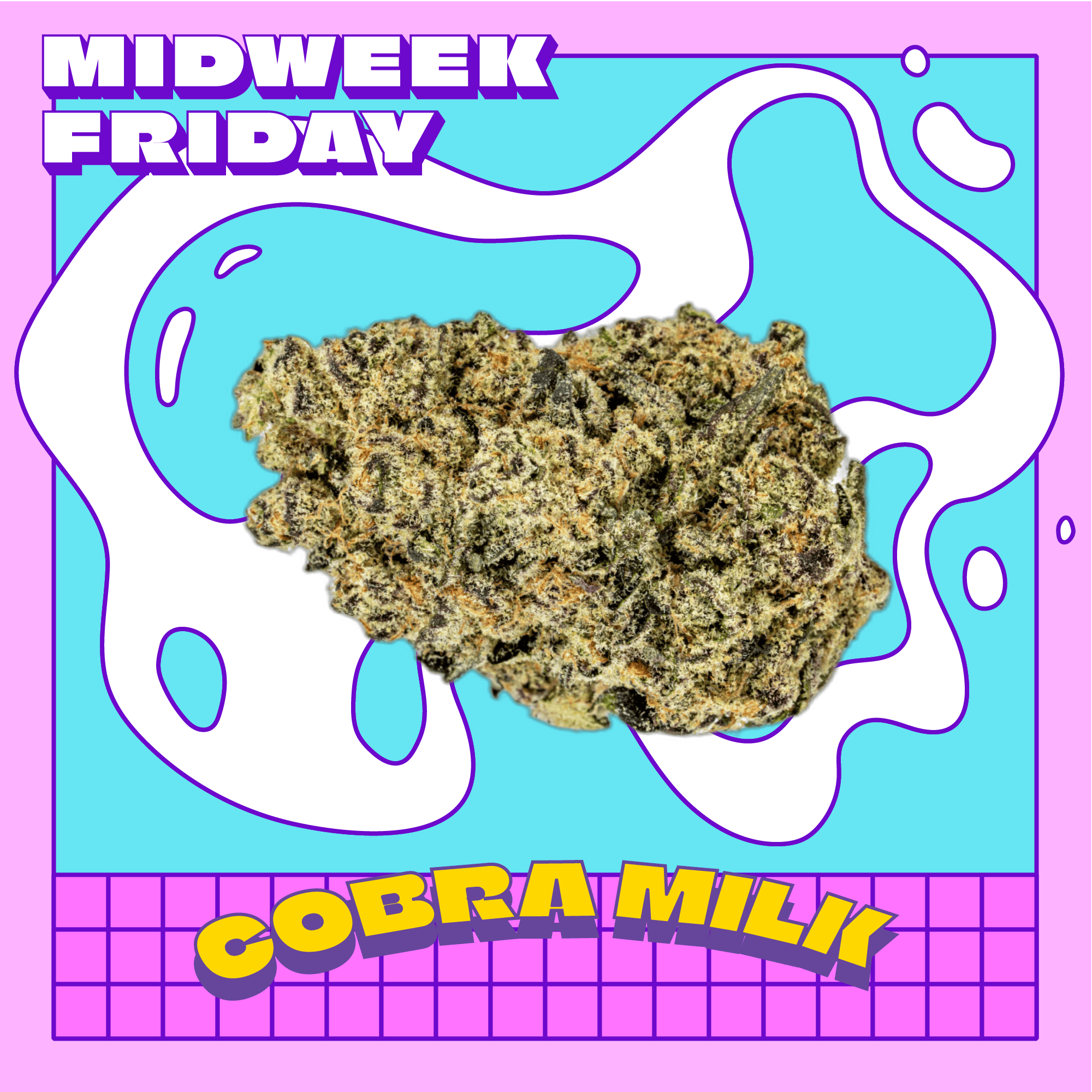 Cobra Milk | Midweek Friday - Popcorn