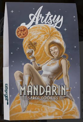 Artsy Pre-Weighed Eighth - Mandarin Space Cookies
