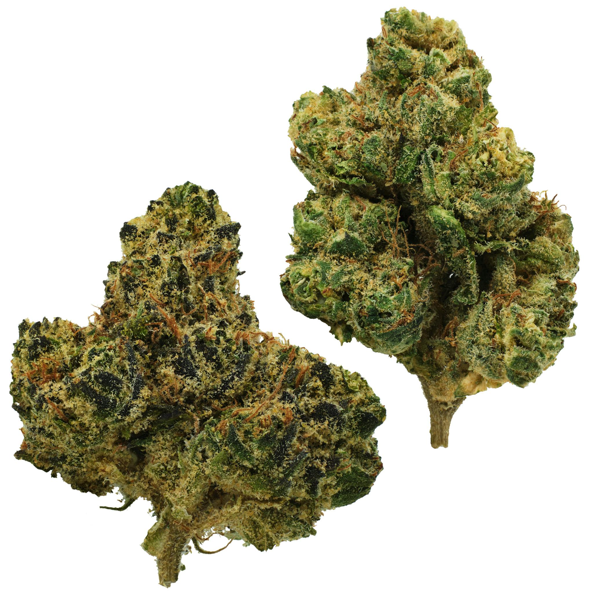 Watermelon Zlushie cannabis product