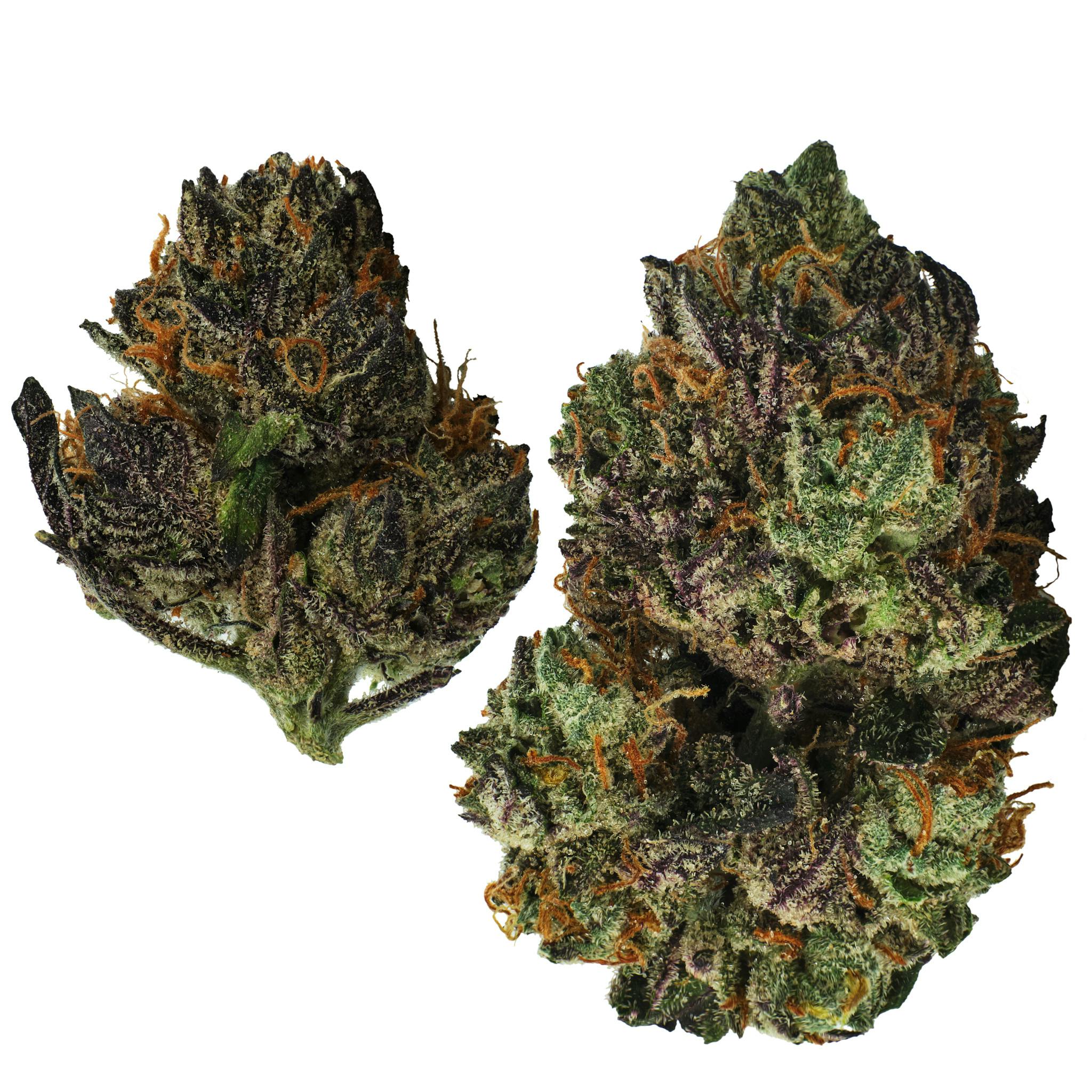 Honolulu Blue