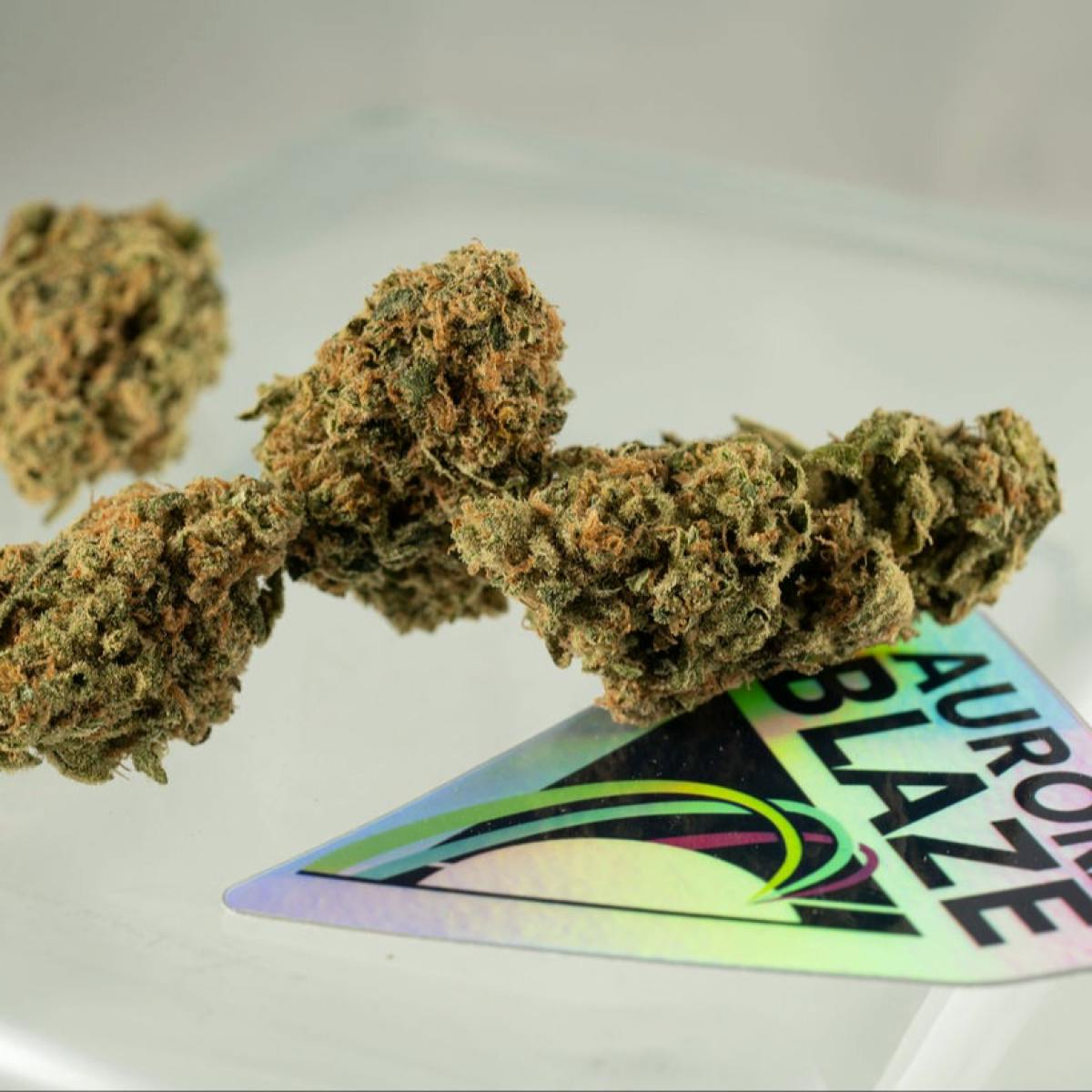 Jack Herer