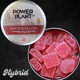 Power Plant Watermelon Gummies - Hybrid